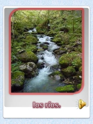 Medio ambiente tania