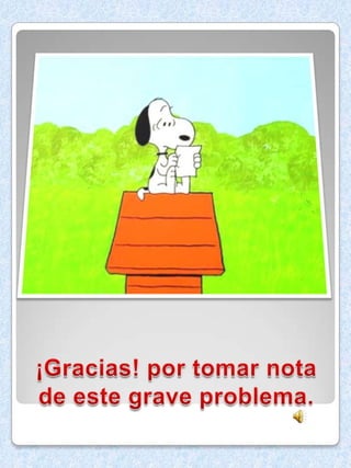 Medio ambiente tania