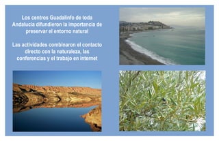 Los centros Guadalinfo de toda Andalucía difundieron la importancia de preservar el entorno natural Las actividades combinaron el contacto directo con la naturaleza, las conferencias y el trabajo en internet 