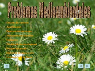 Problemas Medioambientales -  Dióxido de carbono Acidificación  Destrucción del ozono  Hidrocarburos clorados Radiación  Pérdida de tierras vírgenes  Erosión del suelo  Demanda de agua y aire  La Cumbre de la Tierra   