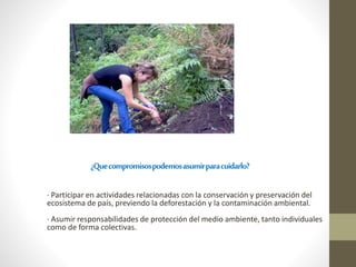 ¿Quecompromisospodemosasumirparacuidarlo?
· Participar en actividades relacionadas con la conservación y preservación del
ecosistema de país, previendo la deforestación y la contaminación ambiental.
· Asumir responsabilidades de protección del medio ambiente, tanto individuales
como de forma colectivas.
 