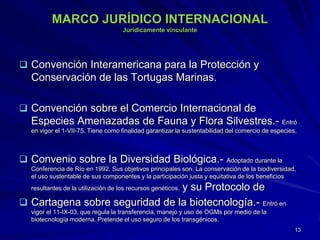 MARCO JURÍDICO INTERNACIONAL
Jurídicamente vinculante
 Convención Interamericana para la Protección y
Conservación de las Tortugas Marinas.
 Convención sobre el Comercio Internacional de
Especies Amenazadas de Fauna y Flora Silvestres.- Entró
en vigor el 1-VII-75. Tiene como finalidad garantizar la sustentabilidad del comercio de especies.
 Convenio sobre la Diversidad Biológica.- Adoptado durante la
Conferencia de Río en 1992. Sus objetivos principales son: La conservación de la biodiversidad,
el uso sustentable de sus componentes y la participación justa y equitativa de los beneficios
resultantes de la utilización de los recursos genéticos. y su Protocolo de
 Cartagena sobre seguridad de la biotecnología.- Entró en
vigor el 11-IX-03, que regula la transferencia, manejo y uso de OGMs por medio de la
biotecnología moderna. Pretende el uso seguro de los transgénicos.
13
 