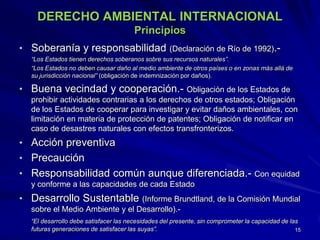 DERECHO AMBIENTAL INTERNACIONAL
Principios
• Soberanía y responsabilidad (Declaración de Río de 1992).-
“Los Estados tienen derechos soberanos sobre sus recursos naturales”.
“Los Estados no deben causar daño al medio ambiente de otros países o en zonas más allá de
su jurisdicción nacional” (obligación de indemnización por daños).
• Buena vecindad y cooperación.- Obligación de los Estados de
prohibir actividades contrarias a los derechos de otros estados; Obligación
de los Estados de cooperar para investigar y evitar daños ambientales, con
limitación en materia de protección de patentes; Obligación de notificar en
caso de desastres naturales con efectos transfronterizos.
• Acción preventiva
• Precaución
• Responsabilidad común aunque diferenciada.- Con equidad
y conforme a las capacidades de cada Estado
• Desarrollo Sustentable (Informe Brundtland, de la Comisión Mundial
sobre el Medio Ambiente y el Desarrollo).-
“El desarrollo debe satisfacer las necesidades del presente, sin comprometer la capacidad de las
futuras generaciones de satisfacer las suyas”. 15
 