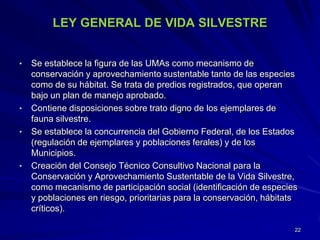 LEY GENERAL DE VIDA SILVESTRE
• Se establece la figura de las UMAs como mecanismo de
conservación y aprovechamiento sustentable tanto de las especies
como de su hábitat. Se trata de predios registrados, que operan
bajo un plan de manejo aprobado.
• Contiene disposiciones sobre trato digno de los ejemplares de
fauna silvestre.
• Se establece la concurrencia del Gobierno Federal, de los Estados
(regulación de ejemplares y poblaciones ferales) y de los
Municipios.
• Creación del Consejo Técnico Consultivo Nacional para la
Conservación y Aprovechamiento Sustentable de la Vida Silvestre,
como mecanismo de participación social (identificación de especies
y poblaciones en riesgo, prioritarias para la conservación, hábitats
críticos).
22
 