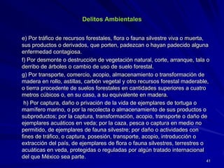 Delitos Ambientales
e) Por tráfico de recursos forestales, flora o fauna silvestre viva o muerta,
sus productos o derivados, que porten, padezcan o hayan padecido alguna
enfermedad contagiosa.
f) Por desmonte o destrucción de vegetación natural, corte, arranque, tala o
derribo de árboles o cambio de uso de suelo forestal.
g) Por transporte, comercio, acopio, almacenamiento o transformación de
madera en rollo, astillas, carbón vegetal y otro recursos forestal maderable,
o tierra procedente de suelos forestales en cantidades superiores a cuatro
metros cúbicos o, en su caso, a su equivalente en madera.
h) Por captura, daño o privación de la vida de ejemplares de tortuga o
mamífero marino, o por la recolecta o almacenamiento de sus productos o
subproductos; por la captura, transformación, acopio, transporte o daño de
ejemplares acuáticos en veda; por la caza, pesca o captura en medio no
permitido, de ejemplares de fauna silvestre; por daño o actividades con
fines de tráfico, o captura, posesión, transporte, acopio, introducción o
extracción del país, de ejemplares de flora o fauna silvestres, terrestres o
acuáticas en veda, protegidas o reguladas por algún tratado internacional
del que México sea parte.
41
 