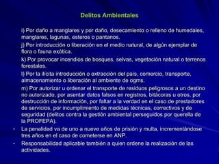 Delitos Ambientales
i) Por daño a manglares y por daño, desecamiento o relleno de humedales,
manglares, lagunas, esteros o pantanos.
j) Por introducción o liberación en el medio natural, de algún ejemplar de
flora o fauna exótica.
k) Por provocar incendios de bosques, selvas, vegetación natural o terrenos
forestales.
l) Por la ilícita introducción o extracción del país, comercio, transporte,
almacenamiento o liberación al ambiente de ogms.
m) Por autorizar u ordenar el transporte de residuos peligrosos a un destino
no autorizado, por asentar datos falsos en registros, bitácoras u otros, por
destrucción de información, por faltar a la verdad en el caso de prestadores
de servicios, por incumplimiento de medidas técnicas, correctivos y de
seguridad (delitos contra la gestión ambiental perseguidos por querella de
la PROFEPA).
• La penalidad va de uno a nueve años de prisión y multa, incrementándose
tres años en el caso de cometerse en ANP.
• Responsabilidad aplicable también a quien ordene la realización de las
actividades.
 