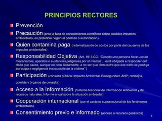PRINCIPIOS RECTORES
Prevención
Precaución (ante la falta de conocimientos científicos sobre posibles impactos
ambientales, es preferible negar un permiso o autorización).
Quien contamina paga ( internalización de costos por parte del causante de los
impactos ambientales)
Responsabilidad Objetiva (Art. 1913 CC. “Cuando una persona hace uso de
mecanismos, aparatos o sustancias peligrosas por sí mismos …está obligada a responder del
daño que cause, aunque no obre ilícitamente, a no ser que demuestre que ese daño se produjo
por culpa o negligencia inexcusable de la víctima” )
Participación (consulta pública: Impacto Ambiental, Bioseguridad, ANP; consejos,
comités y órganos de consulta)
Acceso a la Información (Sistema Nacional de Información Ambiental y de
recursos naturales. Informe anual sobre la situación ambiental)
Cooperación internacional (por el carácter supranacional de los fenómenos
ambientales)
Consentimiento previo e informado (acceso a recursos genéticos)
5
 