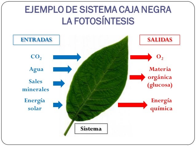 Medio ambiente y sistemas