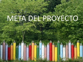 Medio Ambiente Y Sustentabilidad