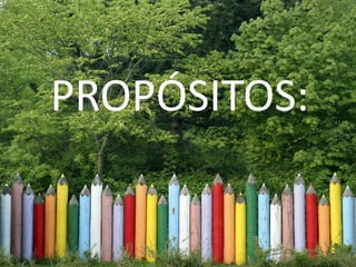 Medio Ambiente Y Sustentabilidad