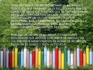 Medio Ambiente Y Sustentabilidad