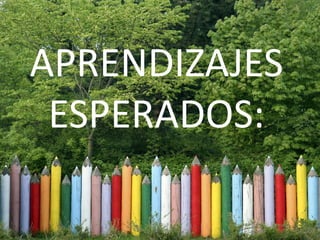 Medio Ambiente Y Sustentabilidad