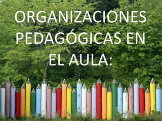 Medio Ambiente Y Sustentabilidad