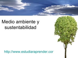 Medio ambiente y
 sustentabilidad




 http://www.estudiaraprender.com/
 