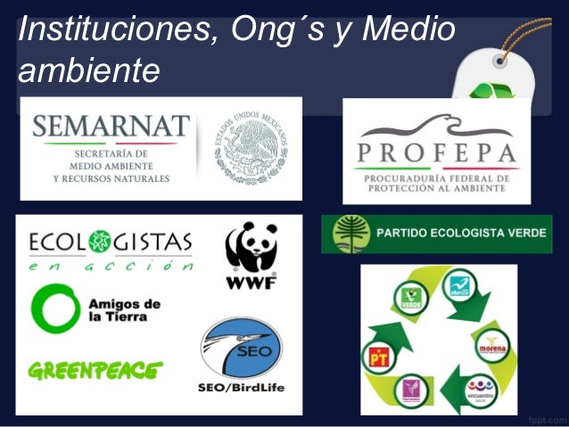 Medio ambiente y sustentabilidad.pdf