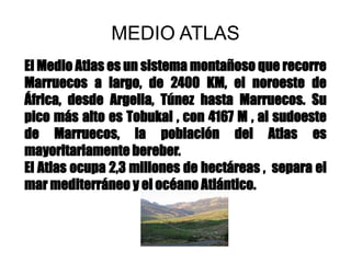 MEDIO ATLAS
El Medio Atlas es un sistema montañoso que recorre
Marruecos a largo, de 2400 KM, el noroeste de
África, desde Argelia, Túnez hasta Marruecos. Su
pico más alto es Tobukal , con 4167 M , al sudoeste
de Marruecos, la población del Atlas es
mayoritariamente bereber.
El Atlas ocupa 2,3 millones de hectáreas , separa el
mar mediterráneo y el océano Atlántico.
 