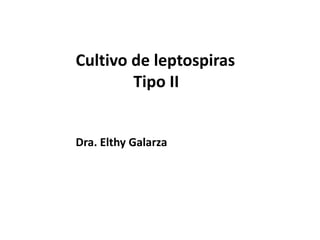 Cultivo de leptospiras
Tipo II
Dra. Elthy Galarza
 
