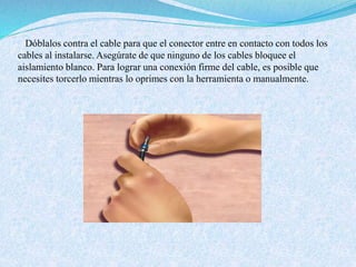 Dóblalos contra el cable para que el conector entre en contacto con todos los
cables al instalarse. Asegúrate de que ninguno de los cables bloquee el
aislamiento blanco. Para lograr una conexión firme del cable, es posible que
necesites torcerlo mientras lo oprimes con la herramienta o manualmente.
 