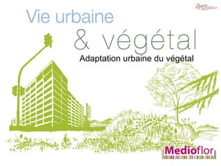 Adaptation urbaine
du végétal
Adaptation urbaine du végétal
 