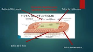 Escenario deportivo para
carreras de medio fondoSalida de 3000 metros Salida de 1500 metros
Salida de 800 metros
Salida de la milla
 