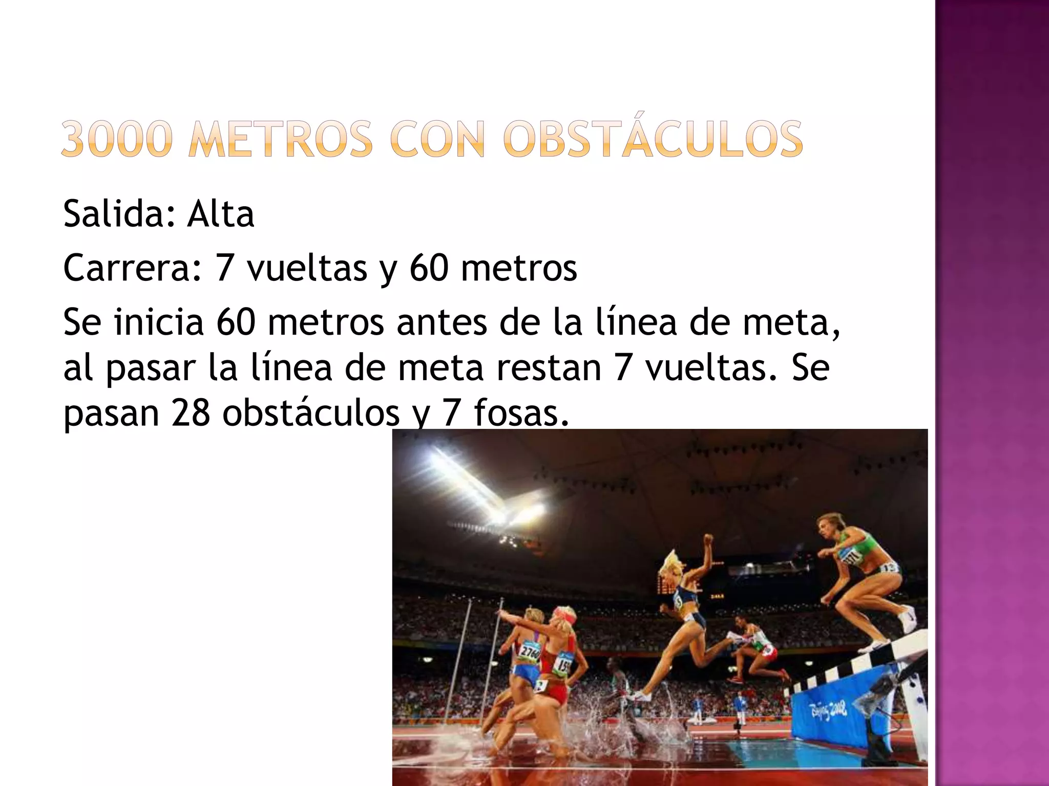 Salida: Alta
Carrera: 7 vueltas y 60 metros
Se inicia 60 metros antes de la línea de meta,
al pasar la línea de meta restan 7 vueltas. Se
pasan 28 obstáculos y 7 fosas.
 