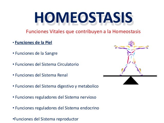 Imagen relacionada