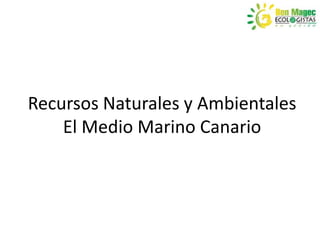 Recursos Naturales y Ambientales
    El Medio Marino Canario
 