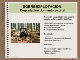 SOBREEXPLOTACIÓN: Degradación do manto vexetal Redución e degradación da cuberta vexetal (deforestación) debido a: Roturacións para obter novas terras para a agricultura e pastos Incendios forestais Tala para obter madeira Resultado: Diminución da superficie forestal Aumento da erosión Solución: Conservación e potenciación das especies autóctonas Reforestación Prof. ISAAC BUZO SÁNCHEZ Fonte: Wikimedia 