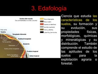 3. Edafología
Ciencia que estudia las
características de los
suelos, su formación y
su
evolución,
sus
propiedades
físicas,
morfológicas, químicas
y mineralógicas y su
distribución.
También
comprende el estudio de
las aptitudes de los
suelos
para
la
explotación agraria o
forestal.

 