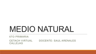 MEDIO NATURAL
6TO PRIMARIA

CETACH VIRTUAL
CALLEJAS

DOCENTE: SAUL ARENALES

 