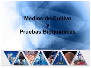 Medios de Cultivo
         y
Pruebas Bioquímicas
 