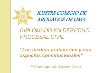 DIPLOMADO EN DERECHO
PROCESAL CIVIL
“Los medios probatorios y sus
aspectos constitucionales”
Profesor José Luis Silvestre Cortez
 