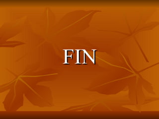 FIN 