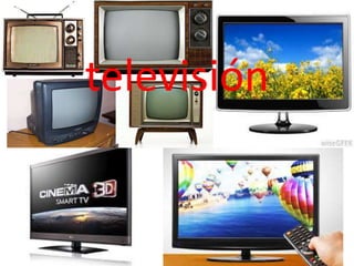 televisión
 