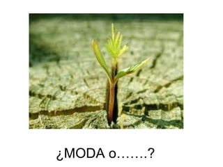 ¿MODA o…….? 