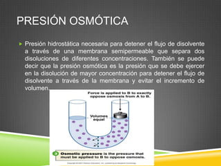 PRESIÓN OSMÓTICA
 Presión hidrostática necesaria para detener el flujo de disolvente
a través de una membrana semipermeable que separa dos
disoluciones de diferentes concentraciones. También se puede
decir que la presión osmótica es la presión que se debe ejercer
en la disolución de mayor concentración para detener el flujo de
disolvente a través de la membrana y evitar el incremento de
volumen.
 