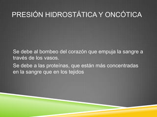 PRESIÓN HIDROSTÁTICA Y ONCÓTICA
Se debe al bombeo del corazón que empuja la sangre a
través de los vasos.
Se debe a las proteínas, que están más concentradas
en la sangre que en los tejidos
 