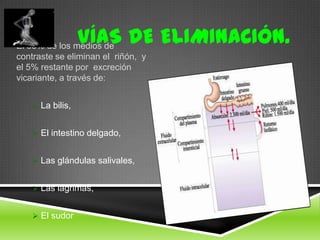 El 95% de los medios de
contraste se eliminan el riñón, y
el 5% restante por excreción
vicariante, a través de:
 La bilis,
 El intestino delgado,
 Las glándulas salivales,
 Las lágrimas,
 El sudor
VÍAS DE ELIMINACIÓN.
 