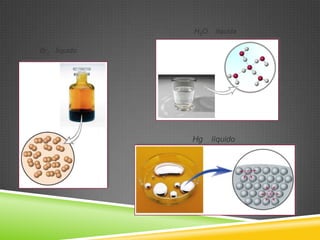 Br2 líquido
H2O líquida
Hg líquido
 