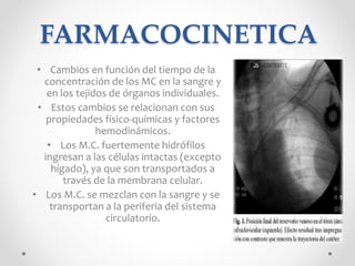 FARMACOCINETICA
• Cambios en función del tiempo de la
concentración de los MC en la sangre y
en los tejidos de órganos individuales.
• Estos cambios se relacionan con sus
propiedades físico-químicas y factores
hemodinámicos.
• Los M.C. fuertemente hidrófilos
ingresan a las células intactas (excepto
hígado), ya que son transportados a
través de la membrana celular.
• Los M.C. se mezclan con la sangre y se
transportan a la periferia del sistema
circulatorio.
 