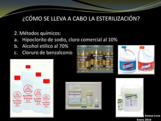 ¿CÓMO SE LLEVA A CABO LA ESTERILIZACIÓN?

2. Métodos químicos:
a. Hipoclorito de sodio, cloro comercial al 10%
b. Alcohol etílico al 70%
c. Cloruro de benzalconio




                                                  Biól. Rosalba Amaya Luna
                                                        Enero 2010
 
