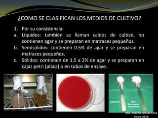 ¿COMO SE CLASIFICAN LOS MEDIOS DE CULTIVO?
1. Por su consistencia:
a. Líquidos: también se llaman caldos de cultivo, no
   contienen agar y se preparan en matraces pequeños.
b. Semisólidos: contienen 0.5% de agar y se preparan en
   matraces pequeños.
c. Sólidos: contienen de 1.5 a 2% de agar y se preparan en
   cajas petri (placa) o en tubos de ensaye.




                                                 Biól. Rosalba Amaya Luna
                                                       Enero 2010
 