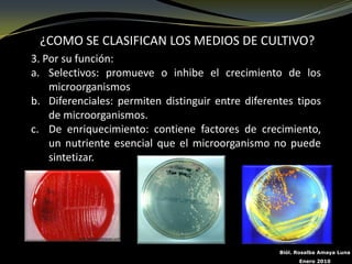 ¿COMO SE CLASIFICAN LOS MEDIOS DE CULTIVO?
3. Por su función:
a. Selectivos: promueve o inhibe el crecimiento de los
    microorganismos
b. Diferenciales: permiten distinguir entre diferentes tipos
    de microorganismos.
c. De enriquecimiento: contiene factores de crecimiento,
    un nutriente esencial que el microorganismo no puede
    sintetizar.




                                                   Biól. Rosalba Amaya Luna
                                                         Enero 2010
 