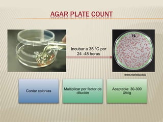AGAR PLATE COUNT 
Incubar a 35 °C por 
24 -48 horas 
Contar colonias 
Multiplicar por factor de 
dilución 
www.marietta.edu 
Aceptable: 30-300 
Ufc/g 
 