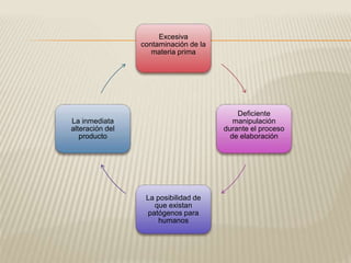 Excesiva 
contaminación de la 
materia prima 
Deficiente 
manipulación 
durante el proceso 
de elaboración 
La posibilidad de 
que existan 
patógenos para 
humanos 
La inmediata 
alteración del 
producto 
 