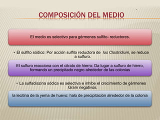 COMPOSICIÓN DEL MEDIO 
. 
El medio es selectivo para gérmenes sulfito- reductores. 
• El sulfito sódico: Por acción sulfito reductora de los Clostridium, se reduce 
a sulfuro. 
El sulfuro reacciona con el citrato de hierro: Da lugar a sulfuro de hierro, 
formando un precipitado negro alrededor de las colonias 
• La sulfadiazina sódica es selectiva e inhibe el crecimiento de gérmenes 
Gram negativos. 
la lecitina de la yema de huevo: halo de precipitación alrededor de la colonia 
 