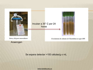 Anaerogen 
Incubar a 35° C por 24 
horas 
Se espera detectar >100 células/g o mL 
www.marietta.edu.co 
 