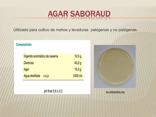 AGAR SABORAUD 
Utilizado para cultivo de mohos y levaduras patógenas y no patógenas. 
es.wikipedia.org 
 