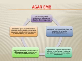 AGAR EMB 
Es utilizado para el 
aislamiento selectivo de 
bacilos Gram negativos 
Permite el crecimiento de todas las 
especies de la familia 
Enterobacteriaceae. 
Organismos capaces de utilizar la 
lactosa y/o sacarosa: Está dada 
por los indicadores eosina y azul 
de metileno. 
Las cepas que utilizan la lactosa 
poseen centro oscuro con periferia 
azulada o rosada, mientras que las 
que no lo hacen son incoloras 
Muchas cepas de Escherichia coli 
y Citrobacter spp. presentan un 
característico brillo metálico. 
 