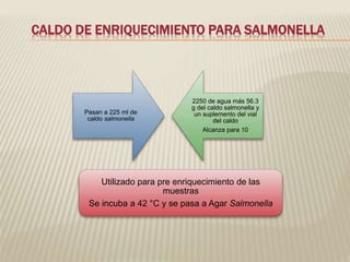 CALDO DE ENRIQUECIMIENTO PARA SALMONELLA 
Pasan a 225 ml de 
caldo salmonella 
2250 de agua más 56.3 
g del caldo salmonella y 
un suplemento del vial 
del caldo 
Alcanza para 10 
Utilizado para pre enriquecimiento de las 
muestras 
Se incuba a 42 °C y se pasa a Agar Salmonella 
 